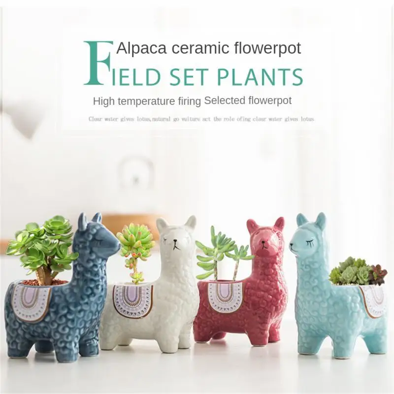 Cartoon Cute Alpaca Succulent Flower Pot Desktop Placed Potted Container Decoration Gift Balcony Plant Ceramic Creative
Cartoon Cute Alpaca Succulent Flower Pot Desktop Placed Potted Container Decoration Gift Balcony Plant Ceramic Creative