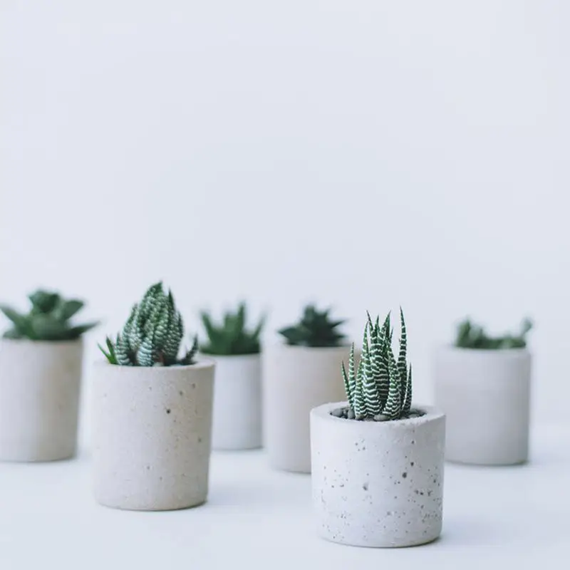 Home Decoration Accessories Simulation Green Plants Desktop Mini Potted Plants Cactus Succulent Artificial Flowers Creative
Home Decoration Accessories Simulation Green Plants Desktop Mini Potted Plants Cactus Succulent Artificial Flowers Creative