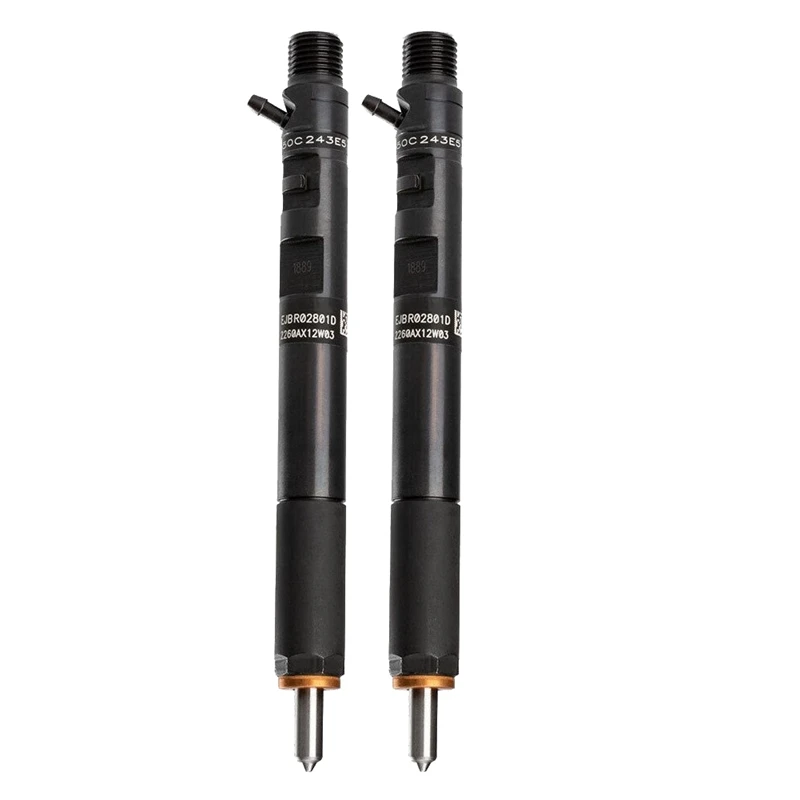 2PCS Diesel Injector Fuel Injector EJBR02801D 33800-4X500 For Hyundai Terracan KIA Carnival Sedona 2.9L CRDI 2001- 
2PCS Diesel Injector Fuel Injector EJBR02801D 33800-4X500 For Hyundai Terracan KIA Carnival Sedona 2.9L CRDI 2001-