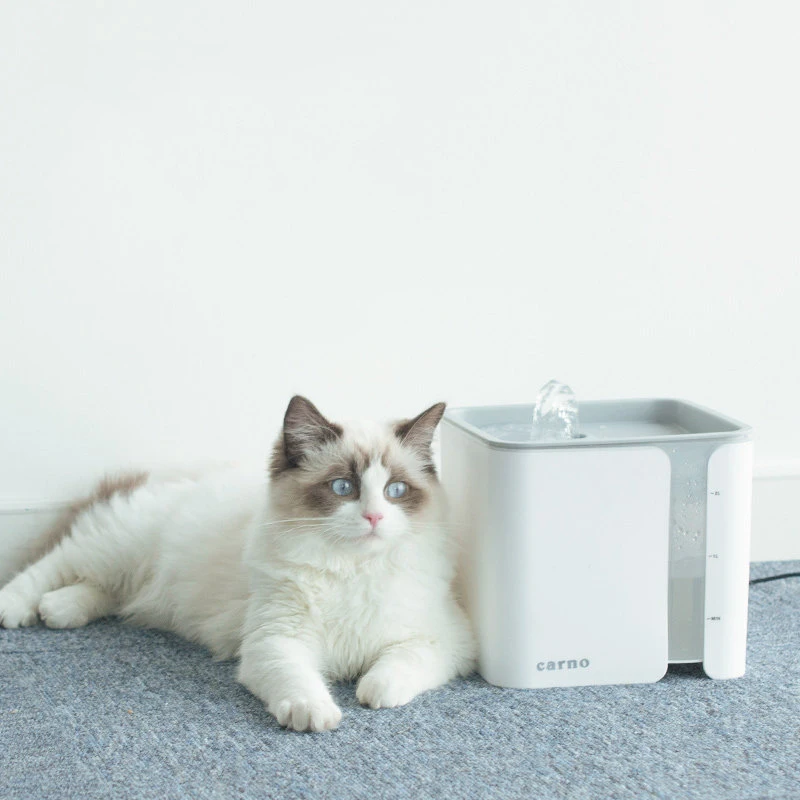 Поилка для домашних животных, 2023, автоматическая, 2 л, USB
Поилка для домашних животных, 2023, автоматическая, 2 л, USB