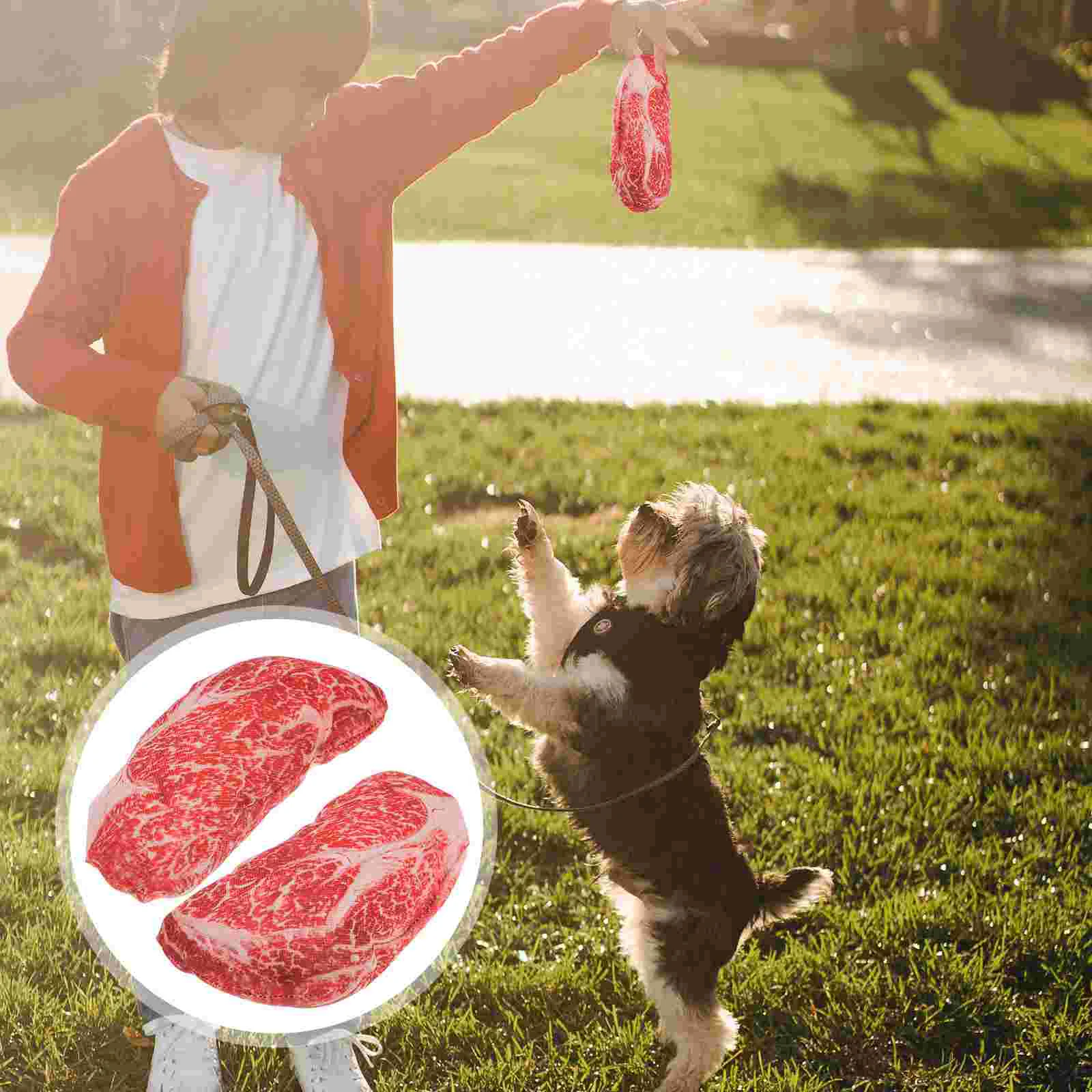 Dog Toys Toy Puppy Chew Steak Pet Artificial Plush Squeaky Sound Molar Dogs Bite Stuffed Looking Real Roast Beef Teeth Chewers
Dog Toys Toy Puppy Chew Steak Pet Artificial Plush Squeaky Sound Molar Dogs Bite Stuffed Looking Real Roast Beef Teeth Chewers