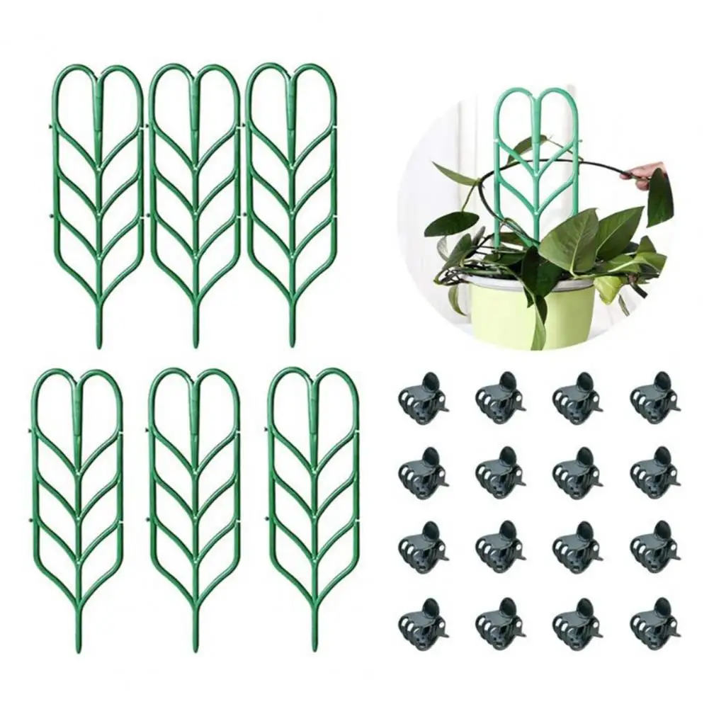 40%HOT6Pcs Plant Stands with 16 Clips Good Support Easy to Install Sturdy Durable Space-saving Thick Garden Vine Plant Climbing
40%HOT6Pcs Plant Stands with 16 Clips Good Support Easy to Install Sturdy Durable Space-saving Thick Garden Vine Plant Climbing