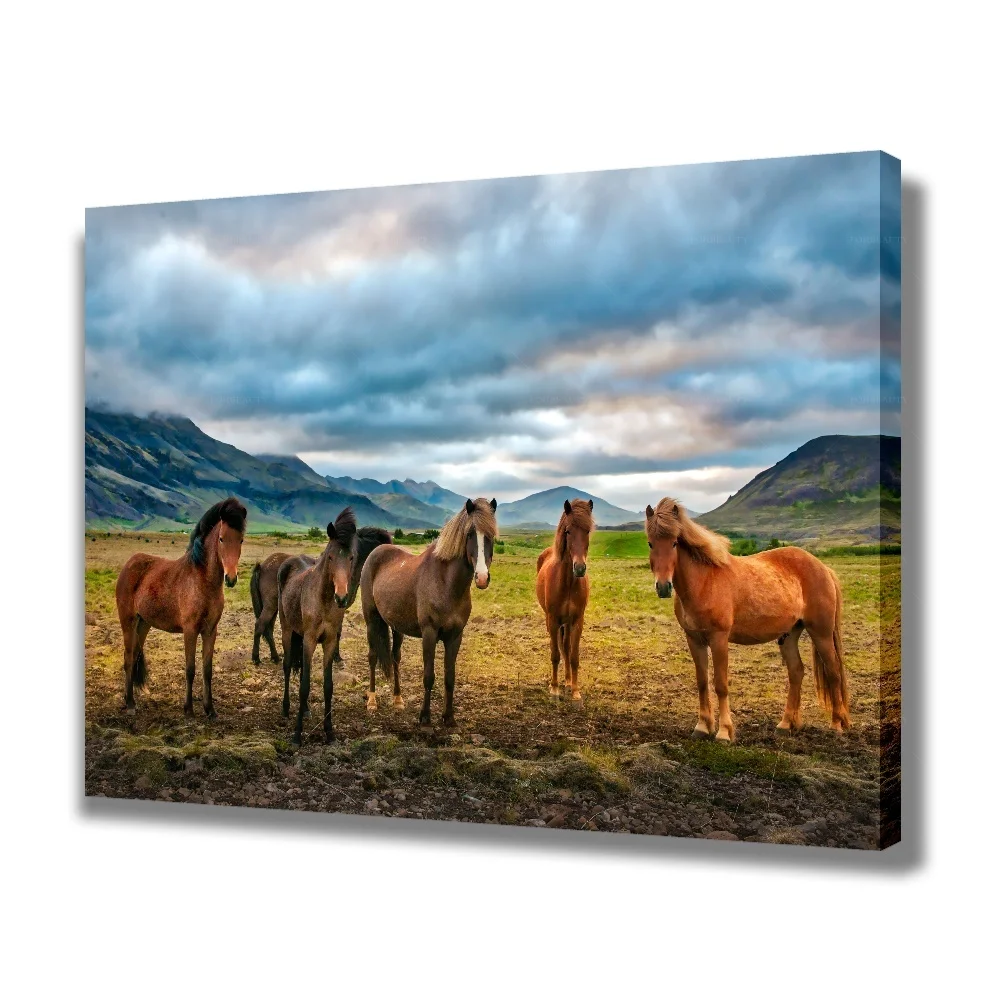 Forbeauty Grey Yellow Grass Many Horses Framed Gallery Canvas Painting Colorful Vase Antique For Home Decoration
Forbeauty Grey Yellow Grass Many Horses Framed Gallery Canvas Painting Colorful Vase Antique For Home Decoration