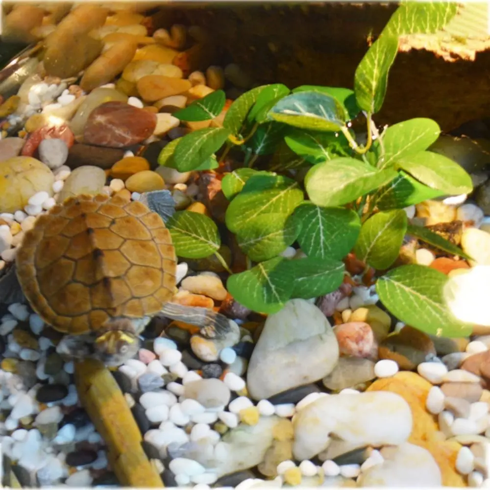 

Creative for Fish Tank Decor Simulated Realistic Faux Turtle Jar Ornament Aquarium Plants Artificial Plants Ficus Tree