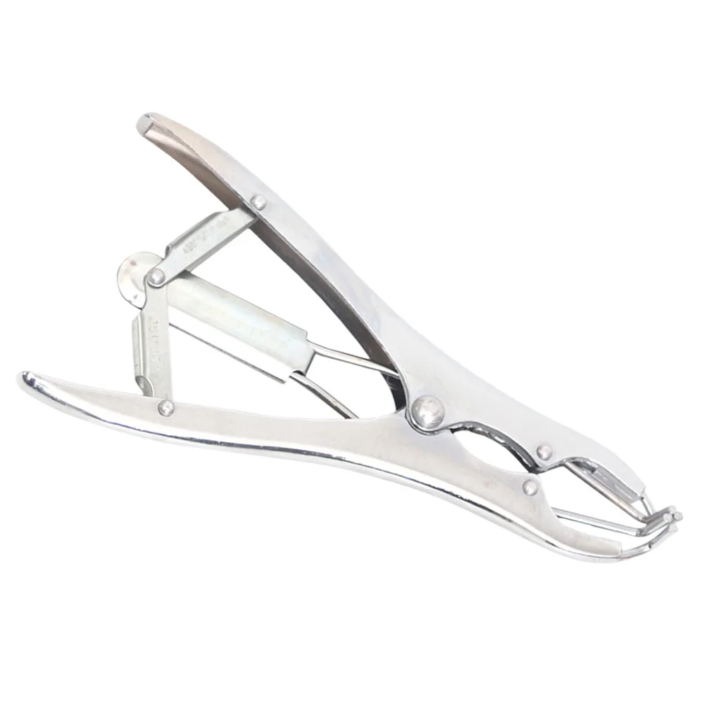 Balloon Expander Balloon Stuffing Tool Balloon Expansion Pliers Tool for Sequin Filling
Balloon Expander Balloon Stuffing Tool Balloon Expansion Pliers Tool for Sequin Filling