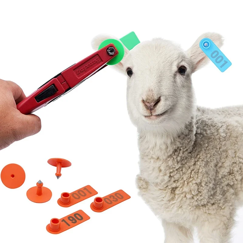 Livestock Sheep Ear Tags 100 Pcs Numbered 001-100 Plastic Ear Tag Marker Applicator for Sheep Goat Cow Animal Identification
Livestock Sheep Ear Tags 100 Pcs Numbered 001-100 Plastic Ear Tag Marker Applicator for Sheep Goat Cow Animal Identification