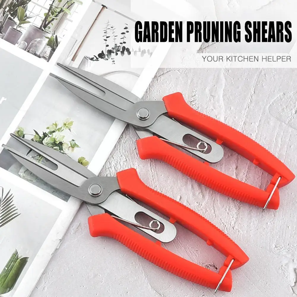 Stainless Steel Scissors Garden Pruning Shears Potted Branches Scissors For Garden Vegetable Patch Bonsai Joinery Gardening L9G0
Stainless Steel Scissors Garden Pruning Shears Potted Branches Scissors For Garden Vegetable Patch Bonsai Joinery Gardening L9G0