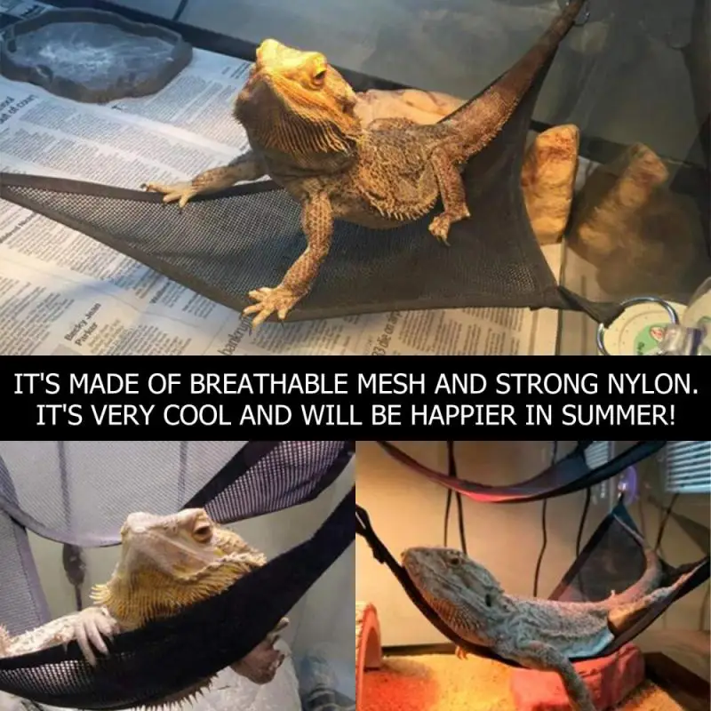 2pcs Hammock Chair With Suction Cup For Reptile Lizard Gecko Climbing Triangle Net
2pcs Hammock Chair With Suction Cup For Reptile Lizard Gecko Climbing Triangle Net
