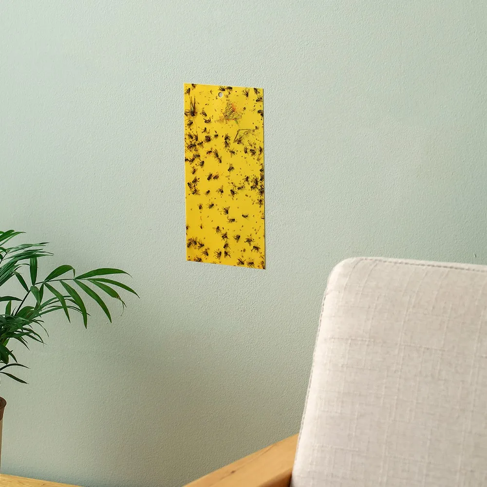 Youpin 10pcs/lot Yellow Double-sided Sticky Board Insect Sticker Outdoor Flying Insect Drosophila Trap Waterproof Lightfast
Youpin 10pcs/lot Yellow Double-sided Sticky Board Insect Sticker Outdoor Flying Insect Drosophila Trap Waterproof Lightfast