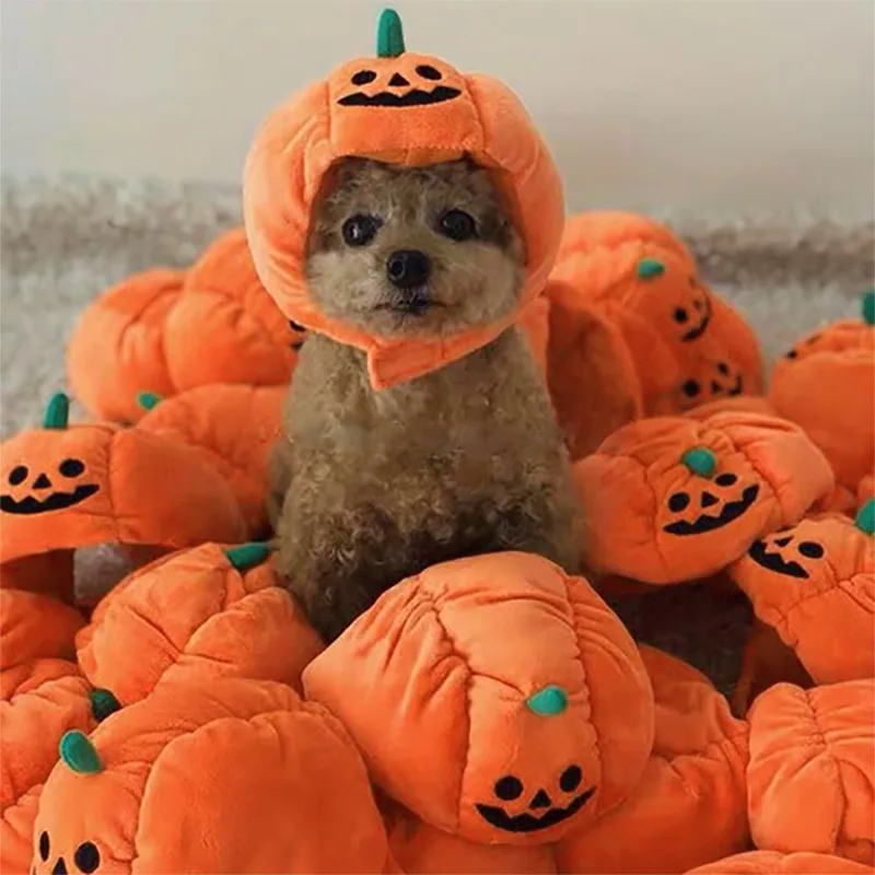 Hot sale halloween pumpkin pet hat halloween costumes for pets suitable for cats and small dogs
Hot sale halloween pumpkin pet hat halloween costumes for pets suitable for cats and small dogs