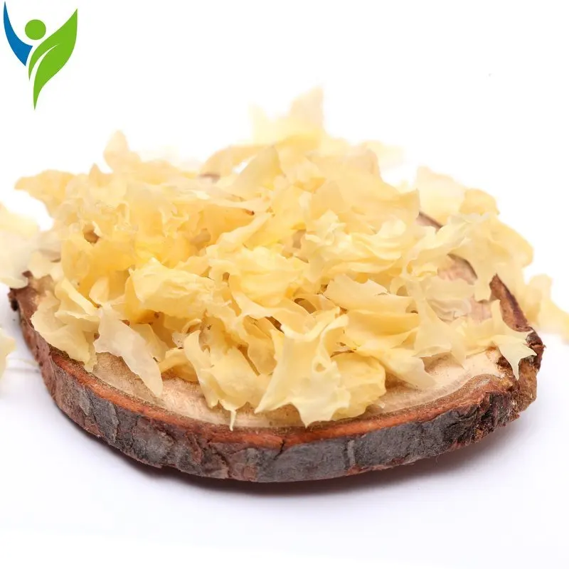 Snow Fungus Silver Ear Yiner Powder White Fungus Mushroom 
Snow Fungus Silver Ear Yiner Powder White Fungus Mushroom