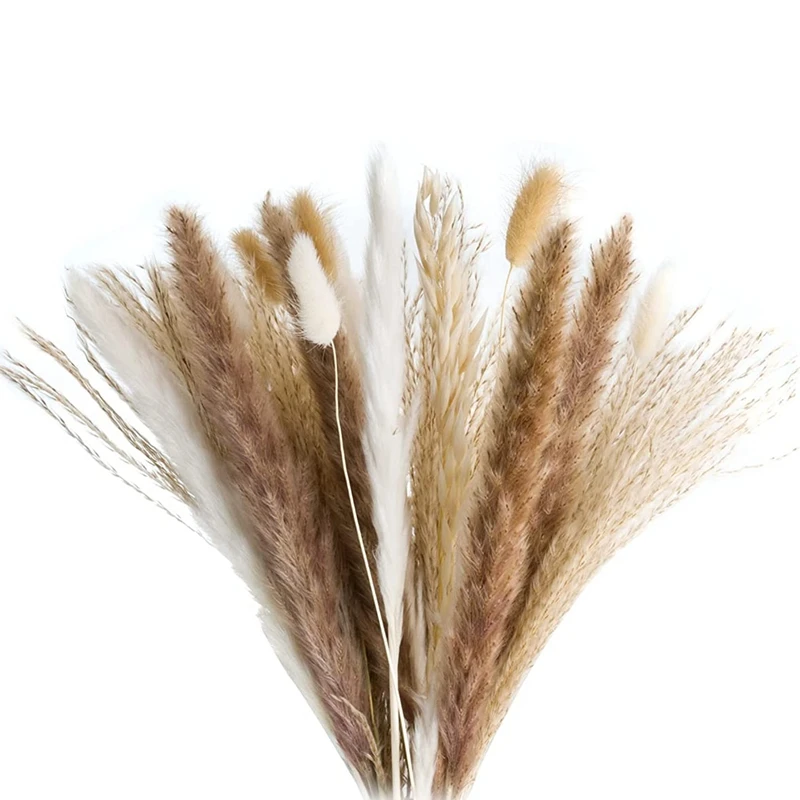 72 Pcs Pampas Grass - Fluffy White/Brown Pampas, Reed Grass & Bunny Tails & Oats, For Flower Arrangements Home Decor
72 Pcs Pampas Grass - Fluffy White/Brown Pampas, Reed Grass & Bunny Tails & Oats, For Flower Arrangements Home Decor