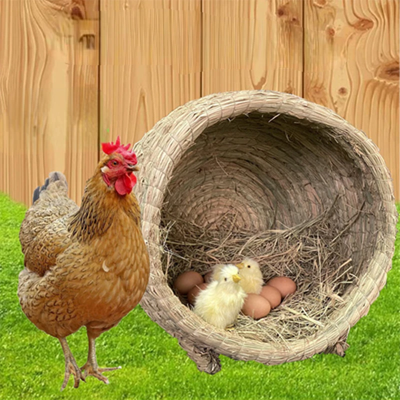 Natural Straw Bird Nest Birdcage Parrot Resting Breeding Place Handmade Warm Pet Bedroom For Parrots Canaries Pigeon Dove
Natural Straw Bird Nest Birdcage Parrot Resting Breeding Place Handmade Warm Pet Bedroom For Parrots Canaries Pigeon Dove