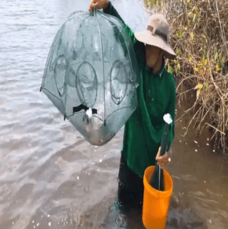 Tackle/Cage Folding Crayfish Catcher Casting/Fish Network Crab/Crayfish/Shrimp/Smelt/Foldable Fishing Hexagon Fishing Net Trap
Tackle/Cage Folding Crayfish Catcher Casting/Fish Network Crab/Crayfish/Shrimp/Smelt/Foldable Fishing Hexagon Fishing Net Trap