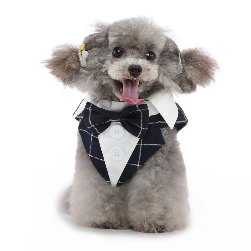 Chihuahua Clothes Dog Clothes Suit Tuxedo Wedding Dress Poodle Bichon Pomeranian Corgi Schnauzer Pet Clothing Dropshipping
Chihuahua Clothes Dog Clothes Suit Tuxedo Wedding Dress Poodle Bichon Pomeranian Corgi Schnauzer Pet Clothing Dropshipping