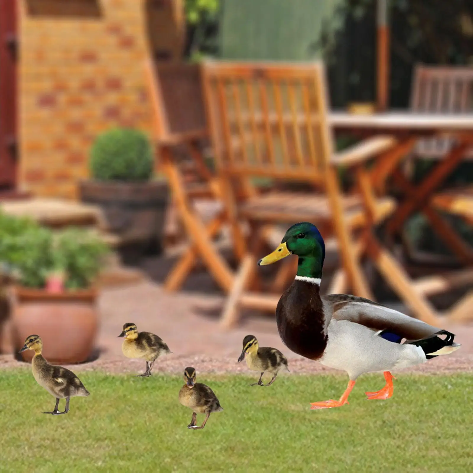 

5x Duck Animal Statue Flat Duck Shaped Yard Stake Lawn Stakes Decorative Garden Ornaments for Pathway Outdoor Backyard Courtyard