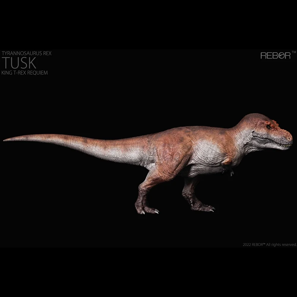 New Arrival 1:35 Rebor Tyrannosaurus Rex Kiss Mountain Tusk King T-Rex Requiem Dinosaur Model Toy
New Arrival 1:35 Rebor Tyrannosaurus Rex Kiss Mountain Tusk King T-Rex Requiem Dinosaur Model Toy