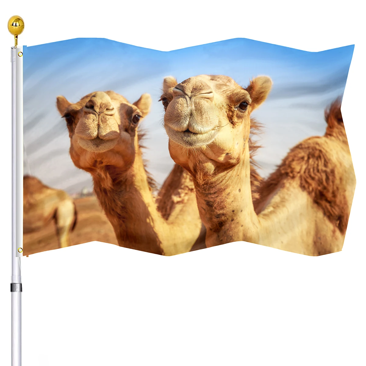 Camel Flag Desert Animal Double Stitched Flags Polyester with Brass Grommets House Indoor Porch Outdoor Decoration for Women Men
Camel Flag Desert Animal Double Stitched Flags Polyester with Brass Grommets House Indoor Porch Outdoor Decoration for Women Men