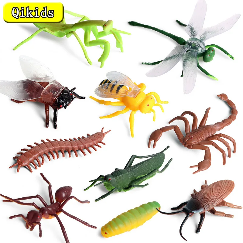 Hot Sale 10pcs Insect Animal Model Action figure Dragonfly Worm Spider Ant Grass Hopper Mantis Cockroach Cricket Toy Set for Kid
Hot Sale 10pcs Insect Animal Model Action figure Dragonfly Worm Spider Ant Grass Hopper Mantis Cockroach Cricket Toy Set for Kid