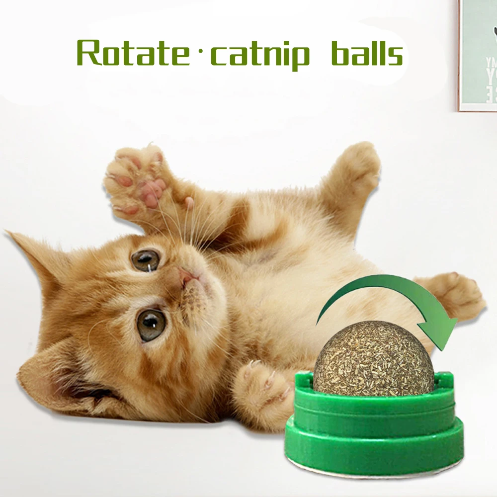 Natural Catnip Cat Wall Stick-on Ball Toy Treats Healthy Natural Removes Hair Balls to Promote Digestion Cat Grass Snack Pet
Natural Catnip Cat Wall Stick-on Ball Toy Treats Healthy Natural Removes Hair Balls to Promote Digestion Cat Grass Snack Pet