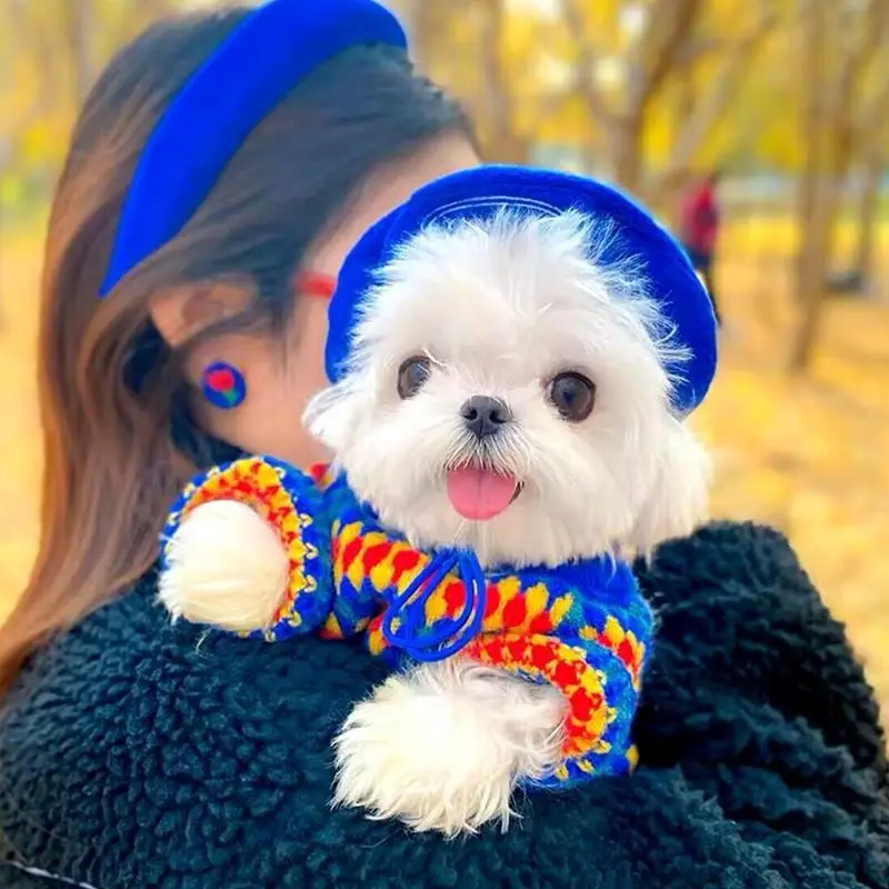 Multicolor Stripe Knit Sweater Dog Clothes Trendy Blue Winter Small Dog Clothing Cat Comfortable Warm Thick Costume Pet Items
Multicolor Stripe Knit Sweater Dog Clothes Trendy Blue Winter Small Dog Clothing Cat Comfortable Warm Thick Costume Pet Items