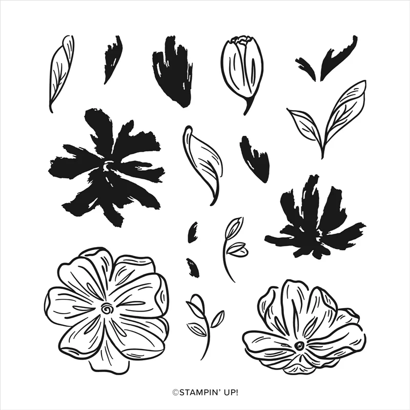 Petal New 2022 Catalog Cutting Dies Clear Stamp Scrapbooking For Paper Making Embossing Frame Card Craft
Petal New 2022 Catalog Cutting Dies Clear Stamp Scrapbooking For Paper Making Embossing Frame Card Craft