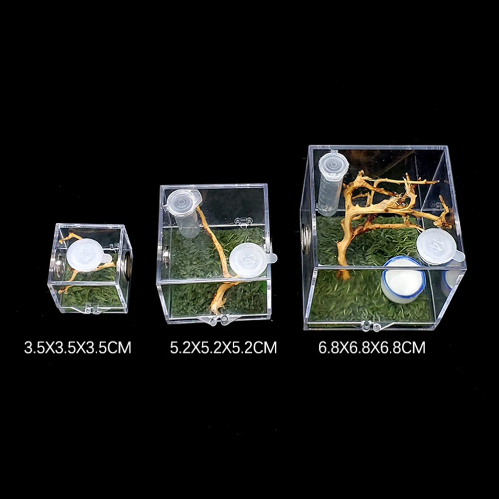 Spider Reptile Terrarium Tank Plastic Reptile Breeding Box Terrarium Cage Insect Viewing Box For Spider Cricket Snail Tarantulas
Spider Reptile Terrarium Tank Plastic Reptile Breeding Box Terrarium Cage Insect Viewing Box For Spider Cricket Snail Tarantulas