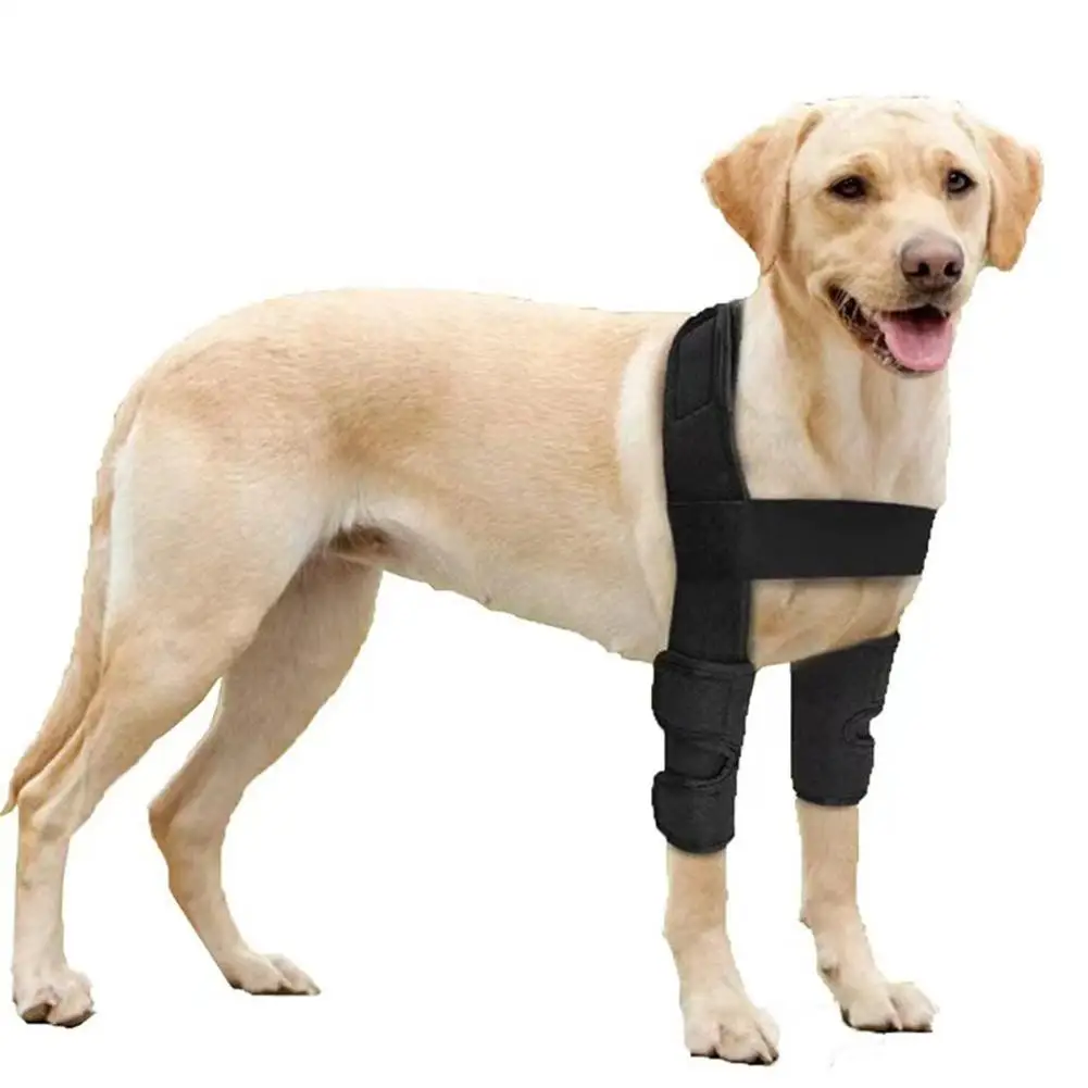 Pet Dog Leg Brace Leg Support Dogs Recovery Sleeve Protective Cover Pet Accessories For Climbing Protecting Surgery Wounds
Pet Dog Leg Brace Leg Support Dogs Recovery Sleeve Protective Cover Pet Accessories For Climbing Protecting Surgery Wounds