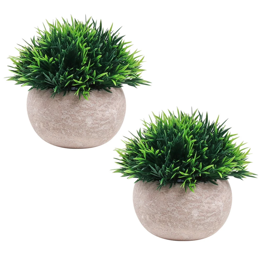 2pcs/set Simulation Bonsai Craft Gift Display Home Decor Short Needle Grass With Pot Freestanding Garden For Office Desktop
2pcs/set Simulation Bonsai Craft Gift Display Home Decor Short Needle Grass With Pot Freestanding Garden For Office Desktop