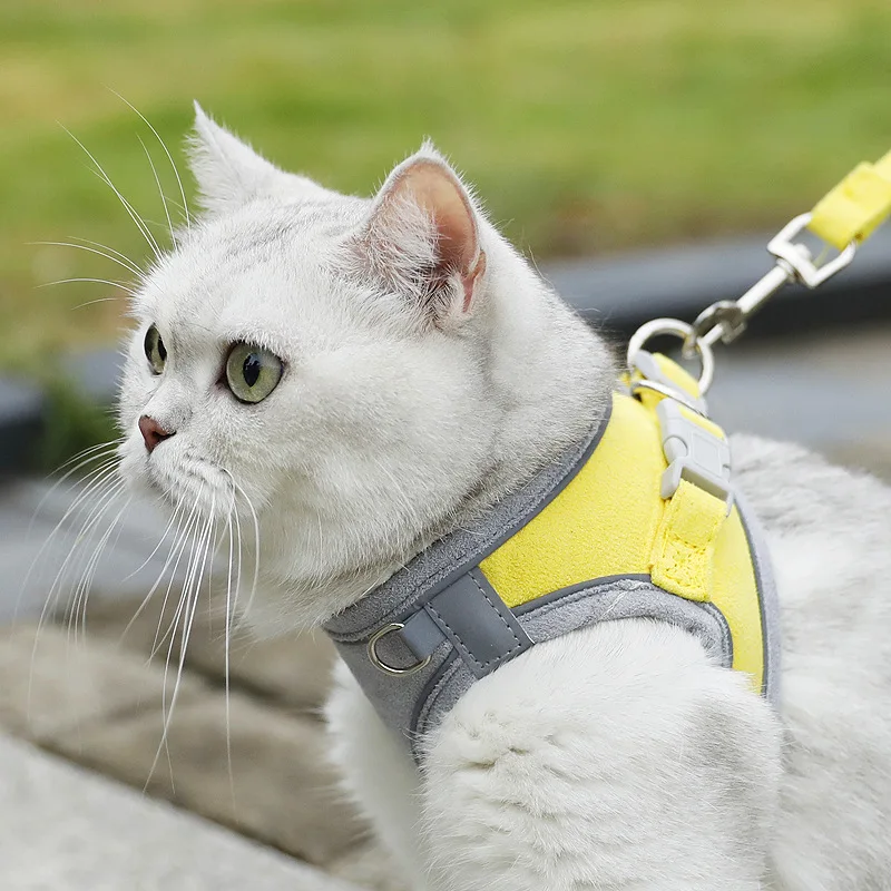 Small Medium Dog Cat Pet Accessories Cat Dog Harness Adjustable Vest Walking Lead Leash For Puppy Dogs Collar Mesh Harness
Small Medium Dog Cat Pet Accessories Cat Dog Harness Adjustable Vest Walking Lead Leash For Puppy Dogs Collar Mesh Harness