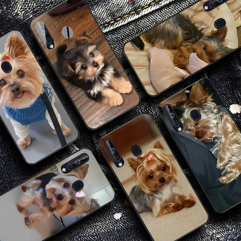 Yorkshire terrier dog Phone Case for Samsung A51 01 50 71 21S 70 31 40 30 10 20 S E 11 91 A7 A8 2018
Yorkshire terrier dog Phone Case for Samsung A51 01 50 71 21S 70 31 40 30 10 20 S E 11 91 A7 A8 2018