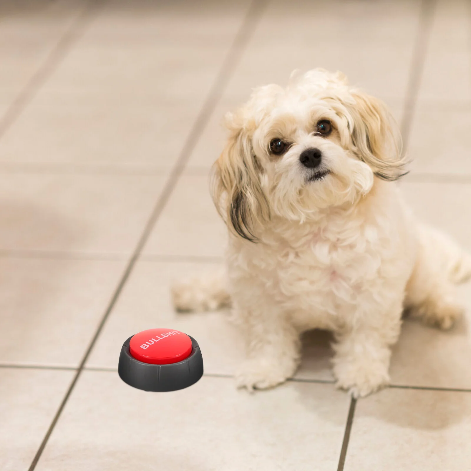 Dog Supplies Glow Toys Buttons Speaking Funny Plastic Pet Talking Push Training Voice Dogs Interesting Recording
Dog Supplies Glow Toys Buttons Speaking Funny Plastic Pet Talking Push Training Voice Dogs Interesting Recording