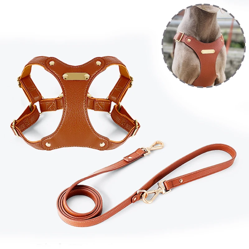 

Waterproof Soft Luxury Leather Dog Chest Harness Easy Wearing No Pull Adjustable Pet Leash Set for Small Medium Dog Accessories