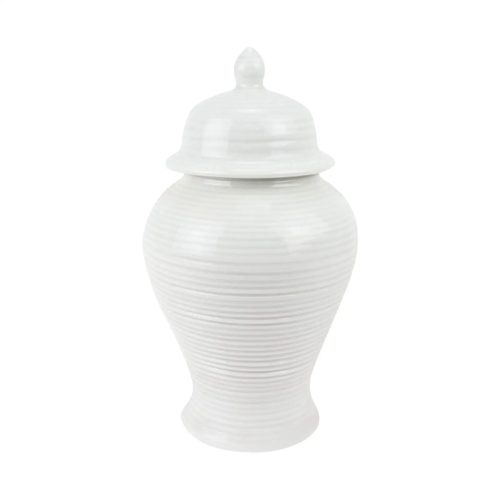 Porcelain Ginger Jar Handicraft Ceramic Flower Vase Temple Jar Home Wedding
Porcelain Ginger Jar Handicraft Ceramic Flower Vase Temple Jar Home Wedding
