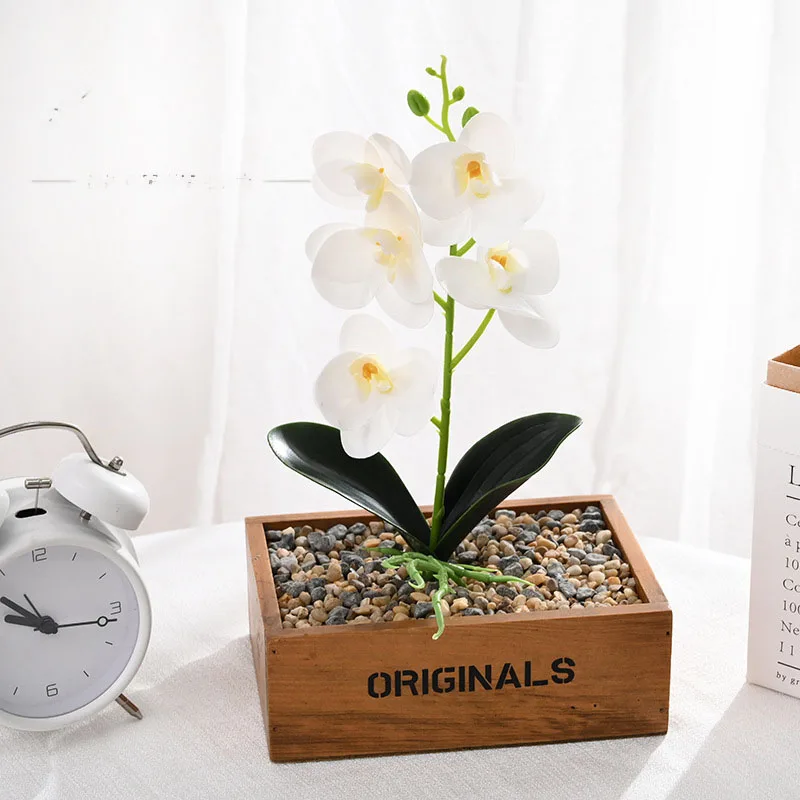 New Short 3d Printing Film Small Five-flowered Phalaenopsis Creative Ornaments Simulation Flowers
New Short 3d Printing Film Small Five-flowered Phalaenopsis Creative Ornaments Simulation Flowers
