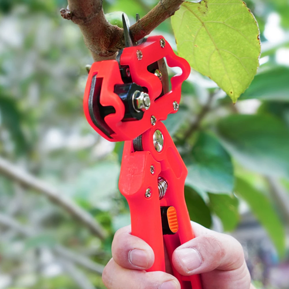 Professional Farming Pruning Shears Grafting Scissor Fruit Tree Vaccination Tool Fruit Tree Bonsai for Home Garden
Professional Farming Pruning Shears Grafting Scissor Fruit Tree Vaccination Tool Fruit Tree Bonsai for Home Garden