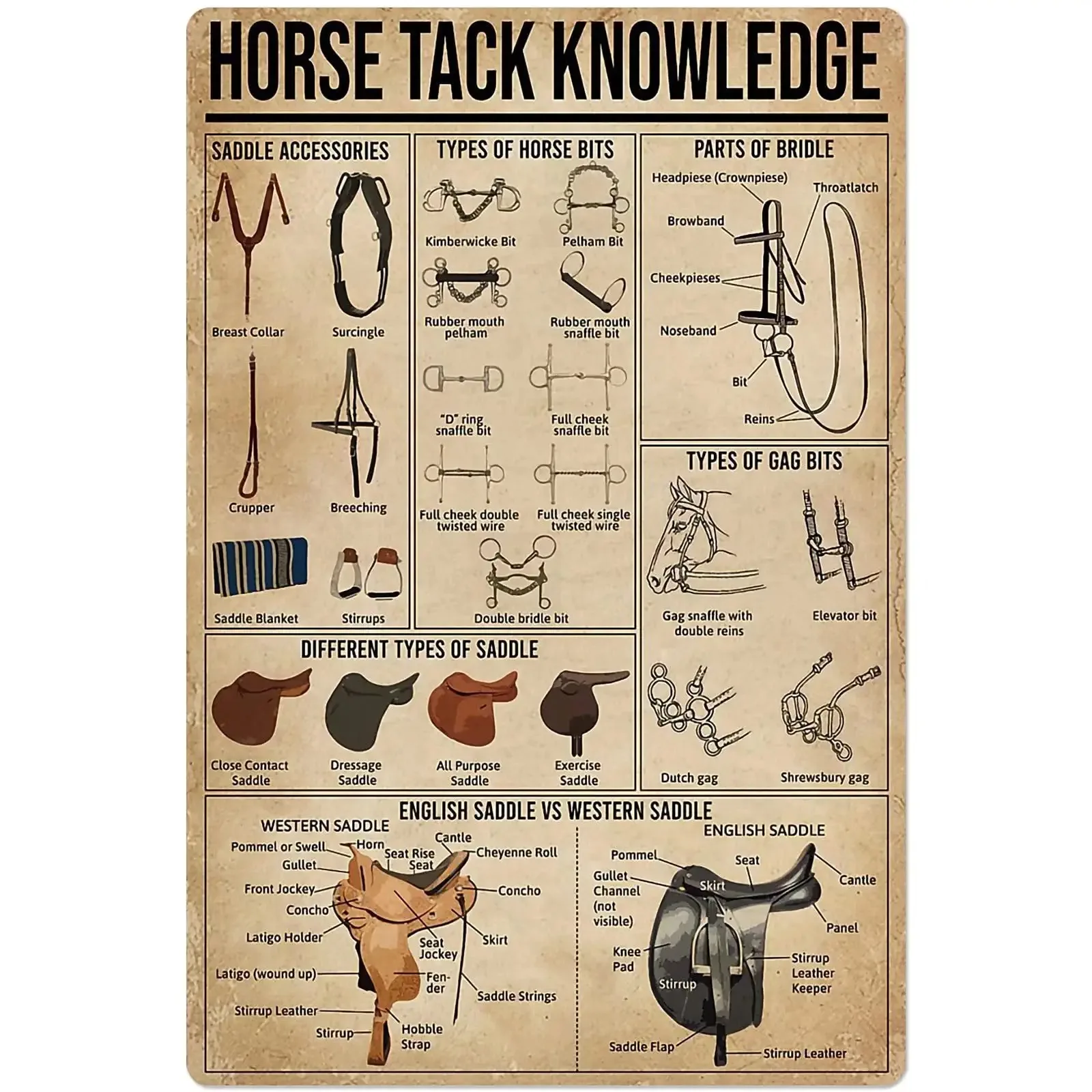 Horse Tack Knowledge Metal Signs Wall Decor Cowboy Guide Posters Farm Club Decor Home Decor Plaque 8x12 Inches
Horse Tack Knowledge Metal Signs Wall Decor Cowboy Guide Posters Farm Club Decor Home Decor Plaque 8x12 Inches