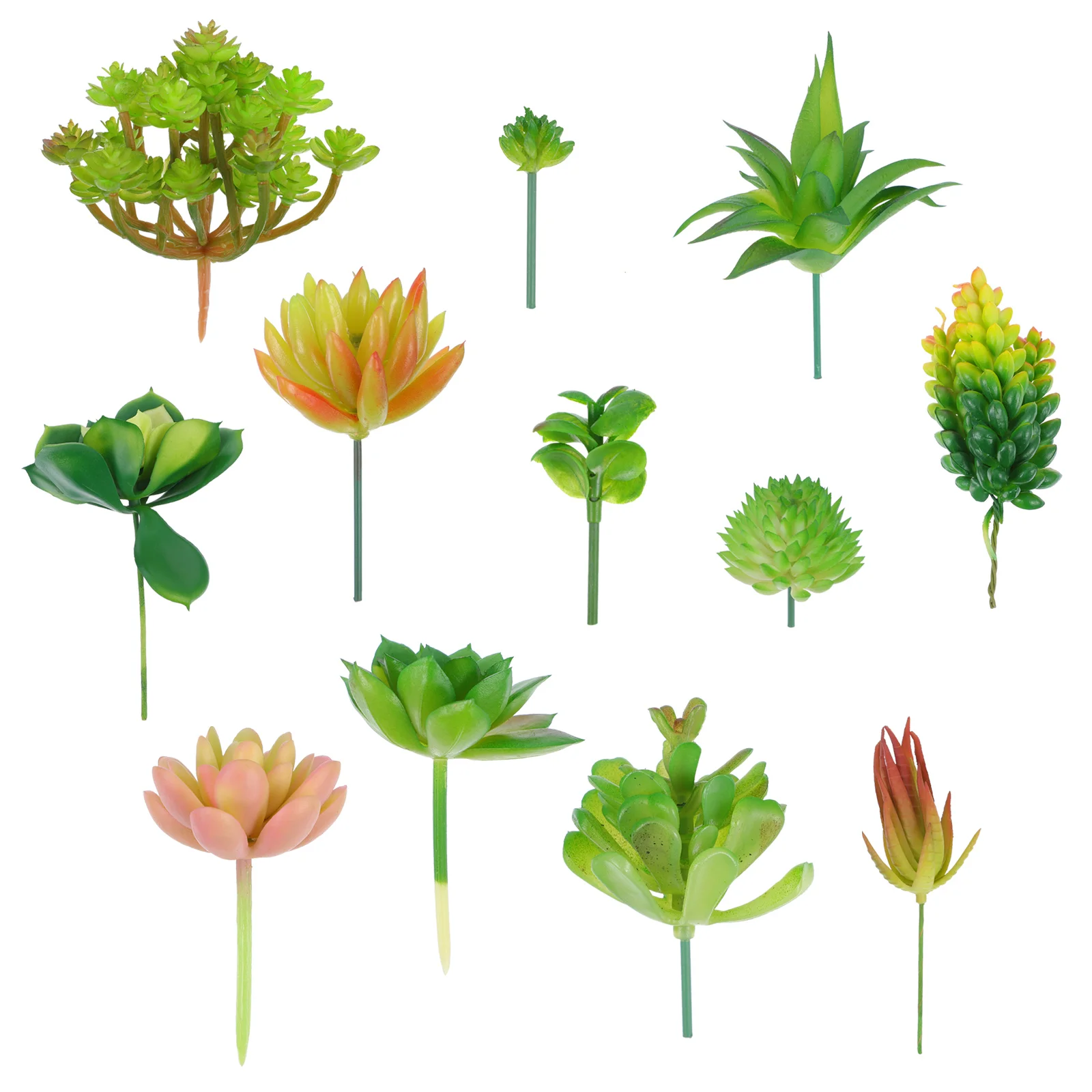 12 шт., декоративные растения 
12 шт., декоративные растения