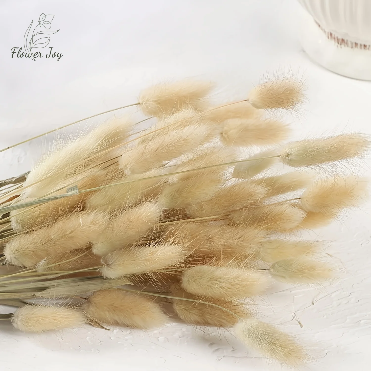 Bunny Tails Grass Natural Dried Flowers Home Decor Bunny Tails Bouquet Wedding Arrangements Dining Table Decoration Accessories
Bunny Tails Grass Natural Dried Flowers Home Decor Bunny Tails Bouquet Wedding Arrangements Dining Table Decoration Accessories