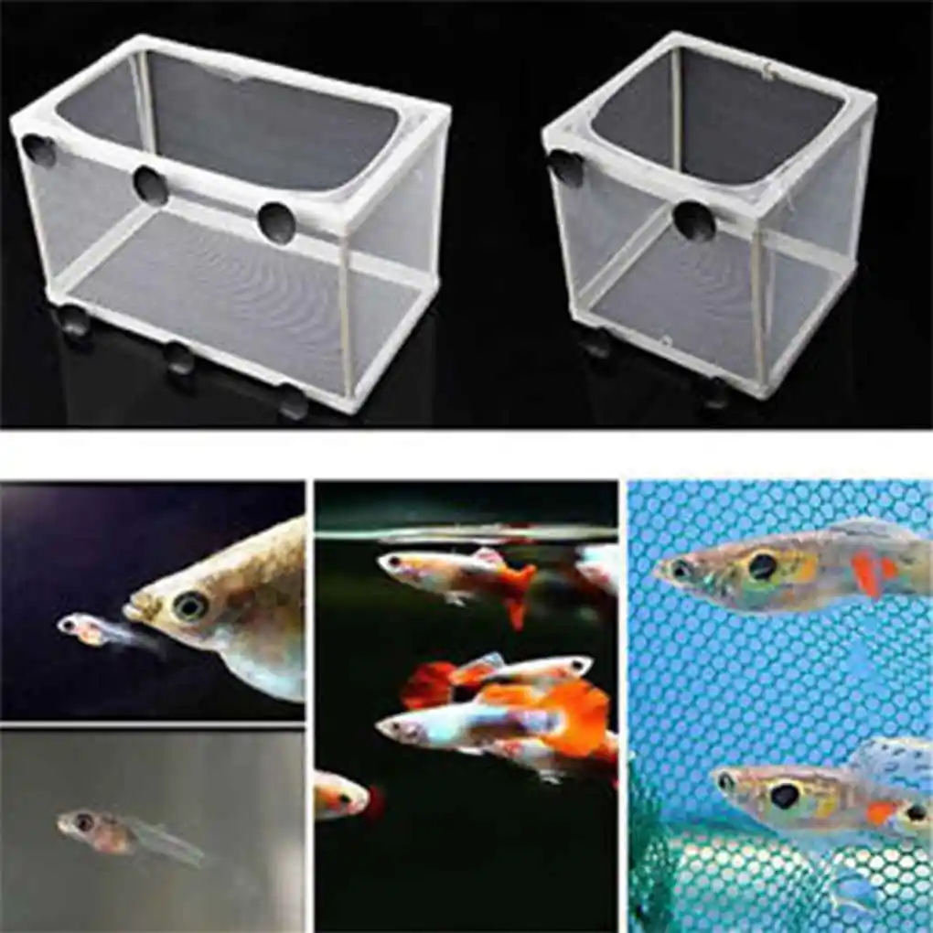 1PC Injured Fish Breeding Incubator Net Hanging Fish Hatchery Isolation Box For Aquarium Accessory Separate Isolation Supplies
1PC Injured Fish Breeding Incubator Net Hanging Fish Hatchery Isolation Box For Aquarium Accessory Separate Isolation Supplies