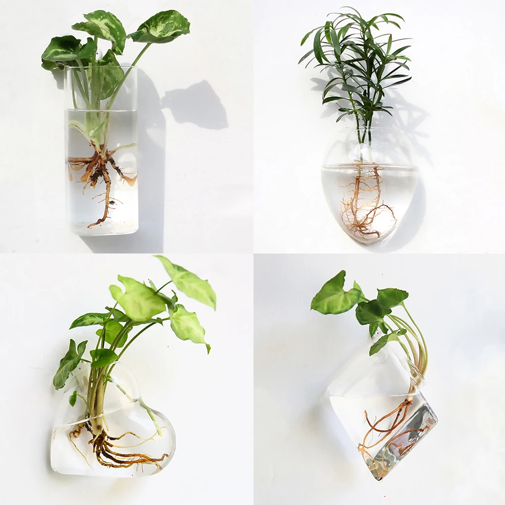 Fashion Wall Hanging Glass Flower Vase Terrarium Wall Fish Tank Aquarium Container Flower Planter Pots Home Garden Decoration
Fashion Wall Hanging Glass Flower Vase Terrarium Wall Fish Tank Aquarium Container Flower Planter Pots Home Garden Decoration