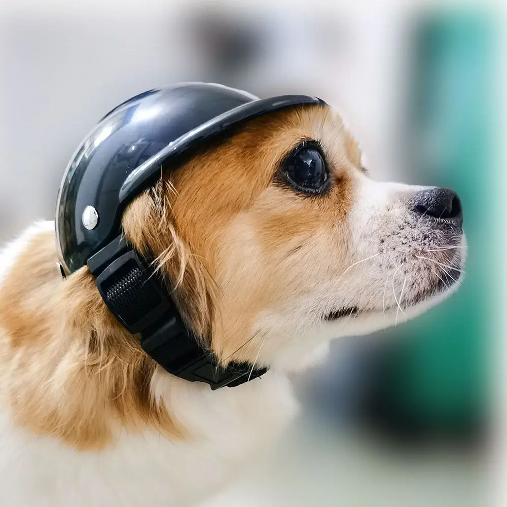 Dog Helmet Mini Cat Riding Moto Cap Cool Pets Safety Suit Motorcycle Hat Chiot Baseball Cap For Dogs Fashion Animals Accessories
Dog Helmet Mini Cat Riding Moto Cap Cool Pets Safety Suit Motorcycle Hat Chiot Baseball Cap For Dogs Fashion Animals Accessories