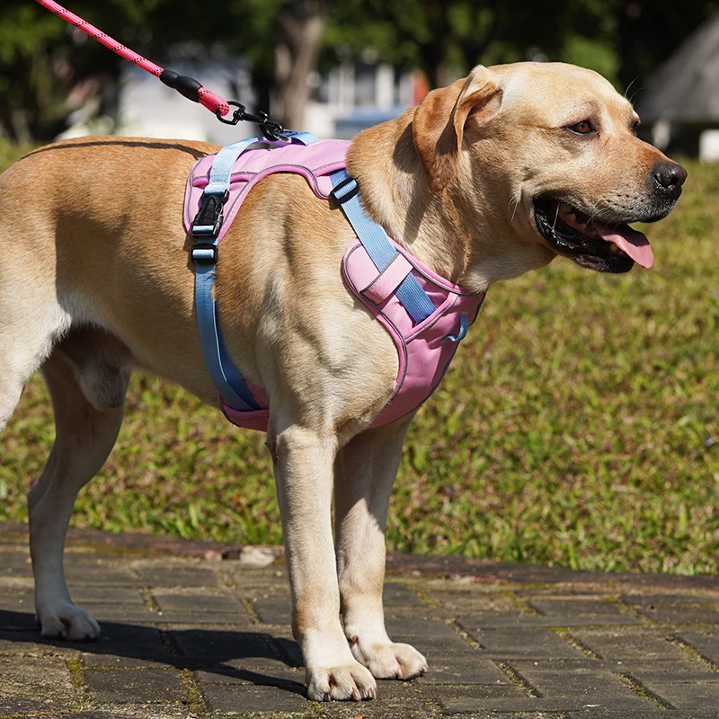 Tank Top Dog Leash Medium and large dog Labrador Golden Corgi chest strap Adjustable dog leash
Tank Top Dog Leash Medium and large dog Labrador Golden Corgi chest strap Adjustable dog leash