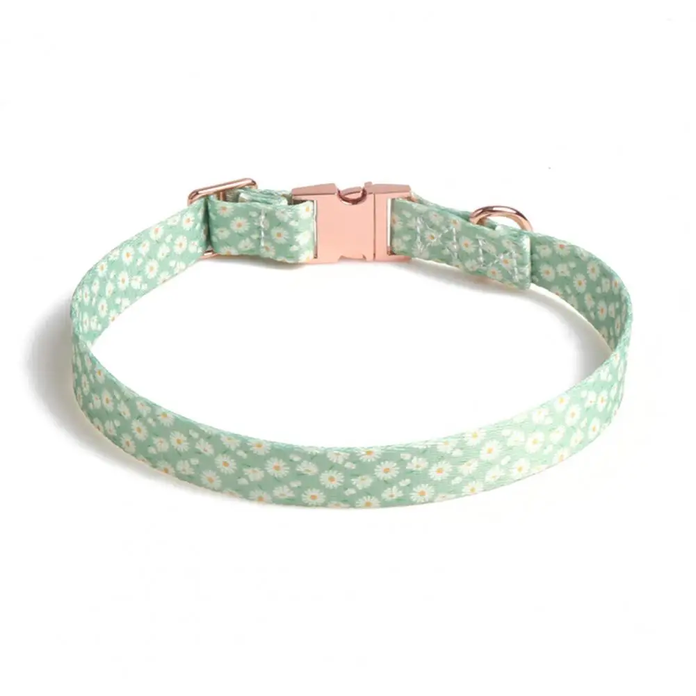 Kitten Collar Decorative Pet Collar Kitten Supplies Bright Necklace
Kitten Collar Decorative Pet Collar Kitten Supplies Bright Necklace