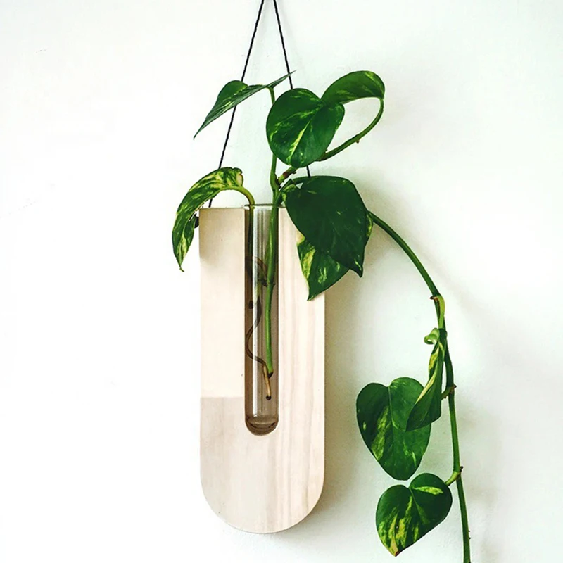 5 Styles Wall Hanging Rope Flower Vase Simple Wooden Hydroponic Plant Rack Shelve Creative Crafts Home Garden Yard Decoration
5 Styles Wall Hanging Rope Flower Vase Simple Wooden Hydroponic Plant Rack Shelve Creative Crafts Home Garden Yard Decoration