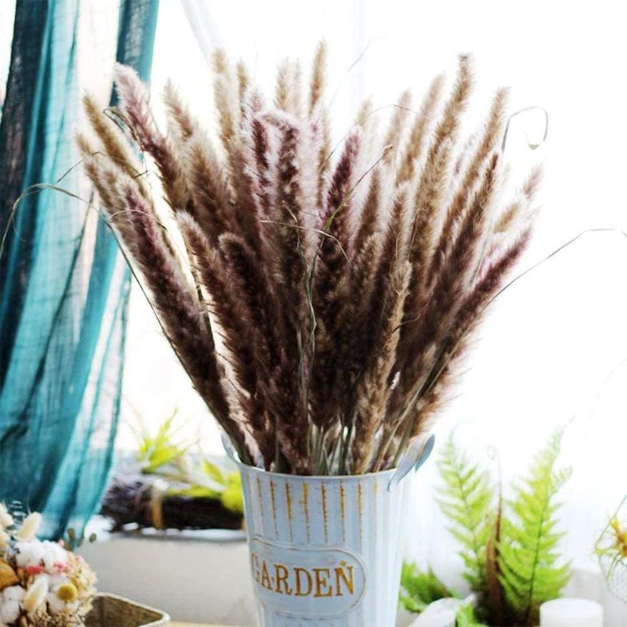 20PCS Dry Bulrush Natural Dried Flowers Real Pampas Grass Flowers for Decoration Rabbit Tail Grass Wedding Tall Fall Home Decor
20PCS Dry Bulrush Natural Dried Flowers Real Pampas Grass Flowers for Decoration Rabbit Tail Grass Wedding Tall Fall Home Decor