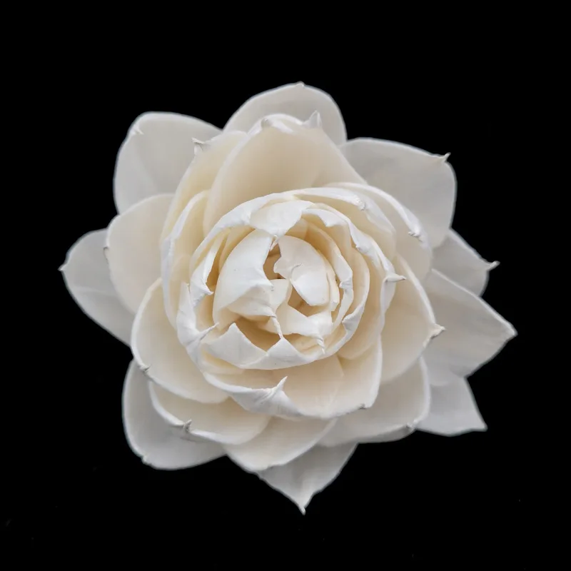5PCS Aromatherapy Dry Flowers for Reed Diffuser Accessories Bulgarian Rose Sola Flower Home Decoration Flower Arrangement 
5PCS Aromatherapy Dry Flowers for Reed Diffuser Accessories Bulgarian Rose Sola Flower Home Decoration Flower Arrangement