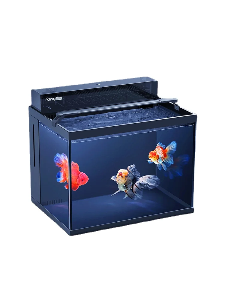 YY Living Room Small Back Filter Ecological Aquarium Super White Glass Lei Long Cylinder
YY Living Room Small Back Filter Ecological Aquarium Super White Glass Lei Long Cylinder