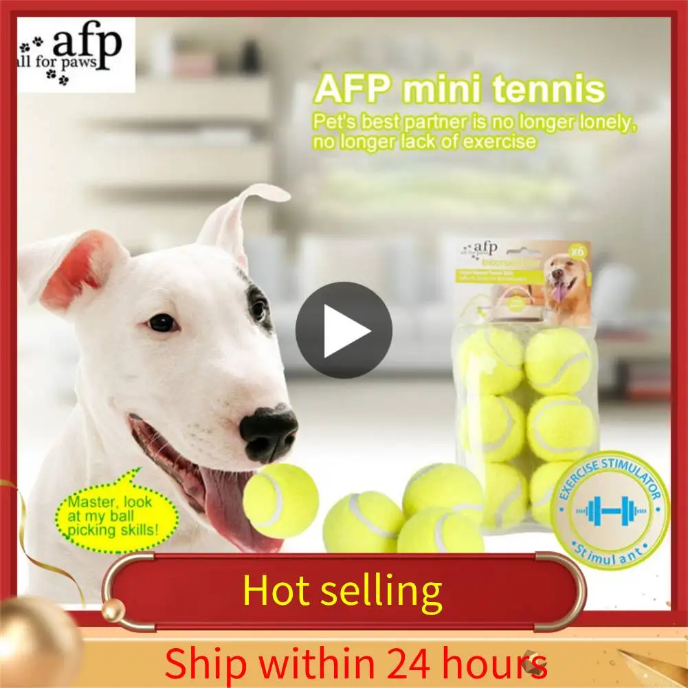 1pc Squeaky Pet Dog Bite Ball Toys For Small Dogs Rubber Chew Puppy Toy Dog Stuff Dogs Toys Pets Tennis Launcher Small Ball
1pc Squeaky Pet Dog Bite Ball Toys For Small Dogs Rubber Chew Puppy Toy Dog Stuff Dogs Toys Pets Tennis Launcher Small Ball