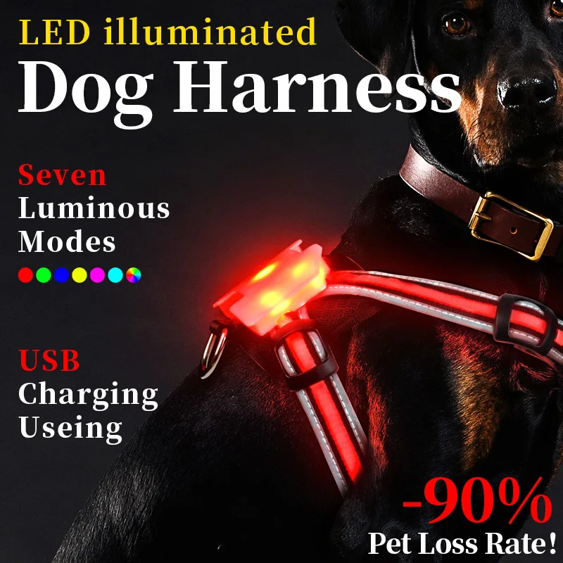 led collar dog rechargeable Adjustable Flashing Rechargea Luminous Collar Night Anti-Lost Dog Light Harness luminous dog collar
led collar dog rechargeable Adjustable Flashing Rechargea Luminous Collar Night Anti-Lost Dog Light Harness luminous dog collar